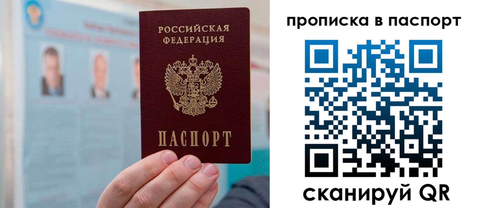 прописка гарантия в Соколе